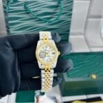 Datejust Collection Watch | Men's Premium 12 Colours Available