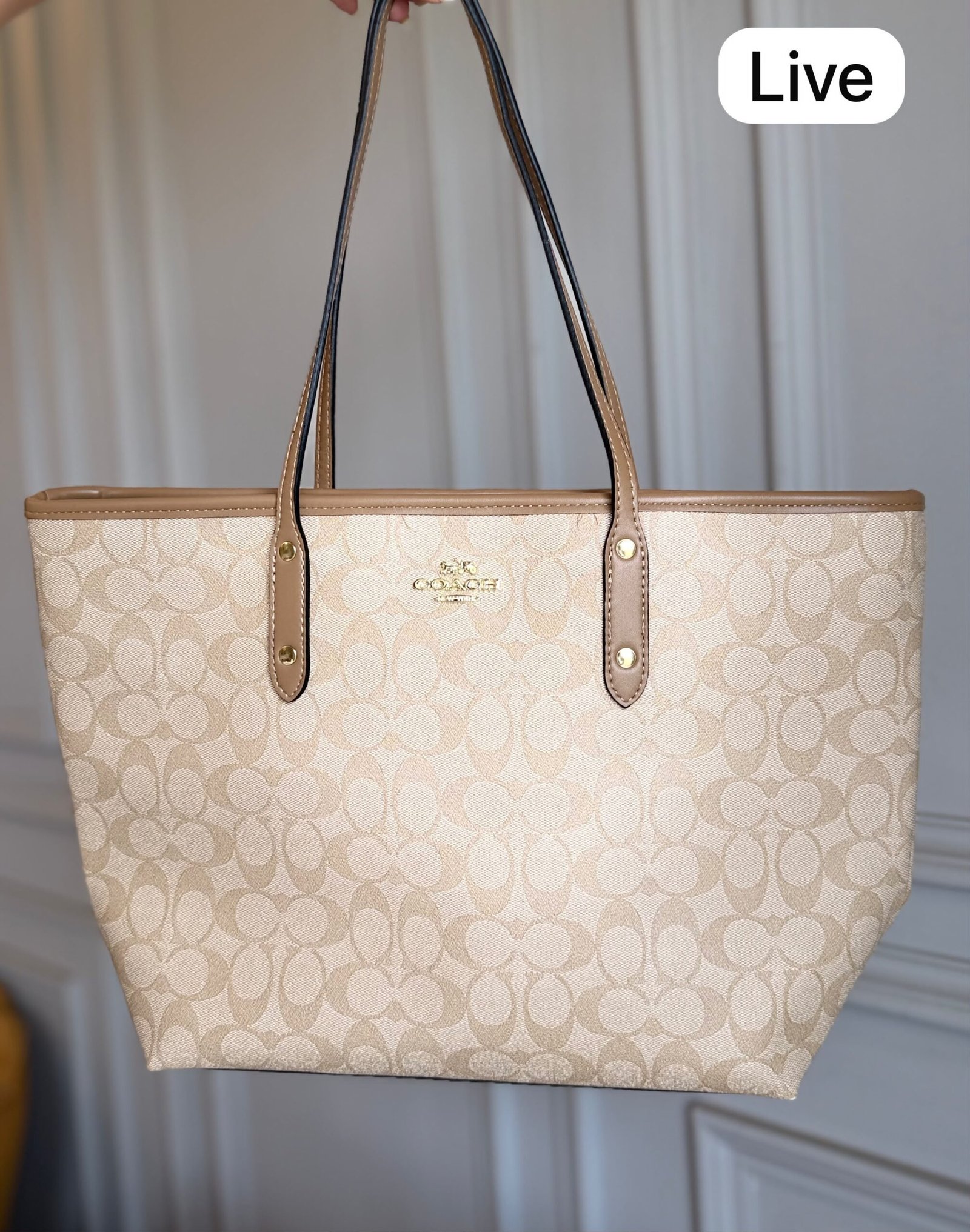 Luxury Women Town Tote Bag with Gift Box 