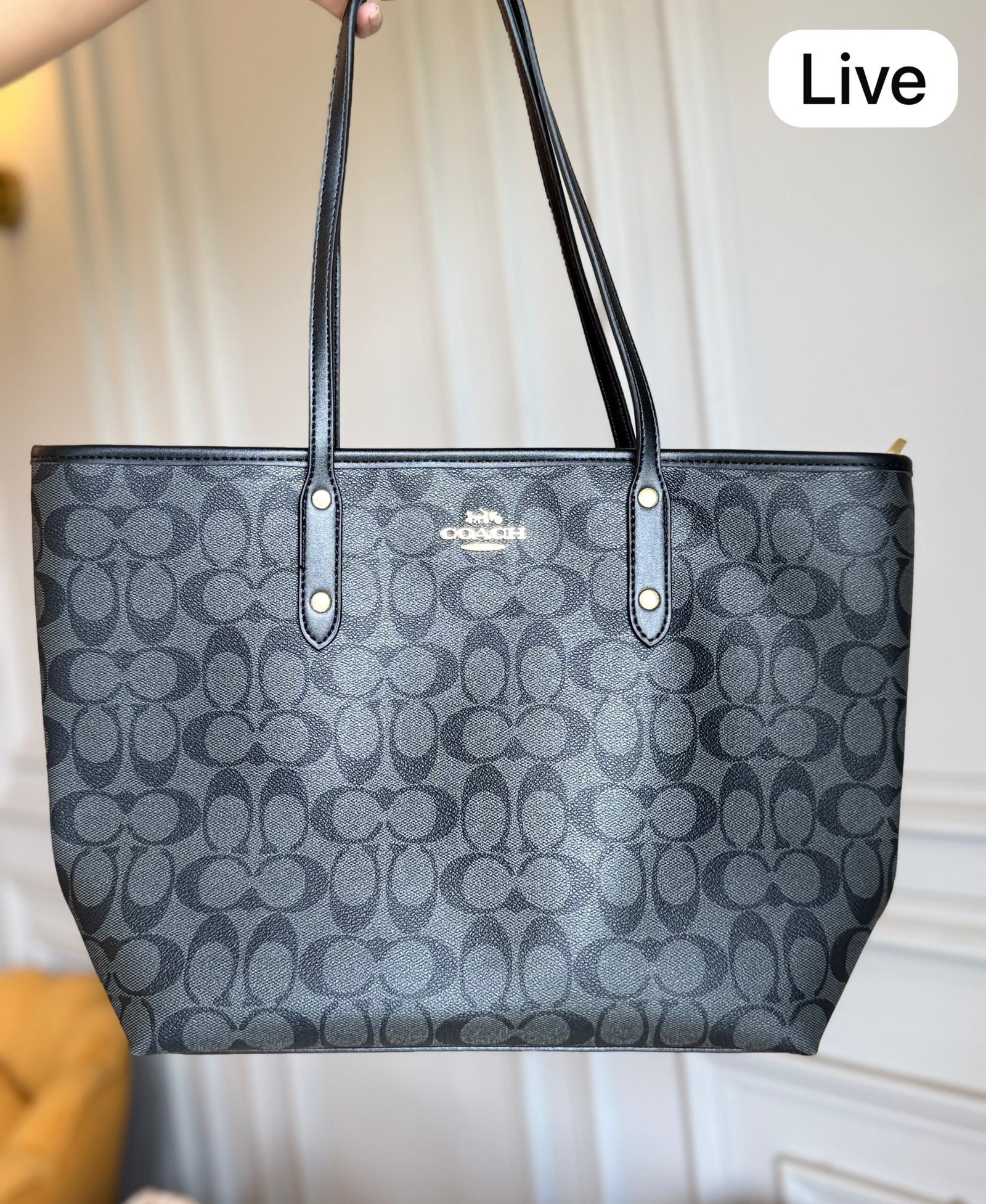 Luxury Women Town Tote Bag with Gift Box 