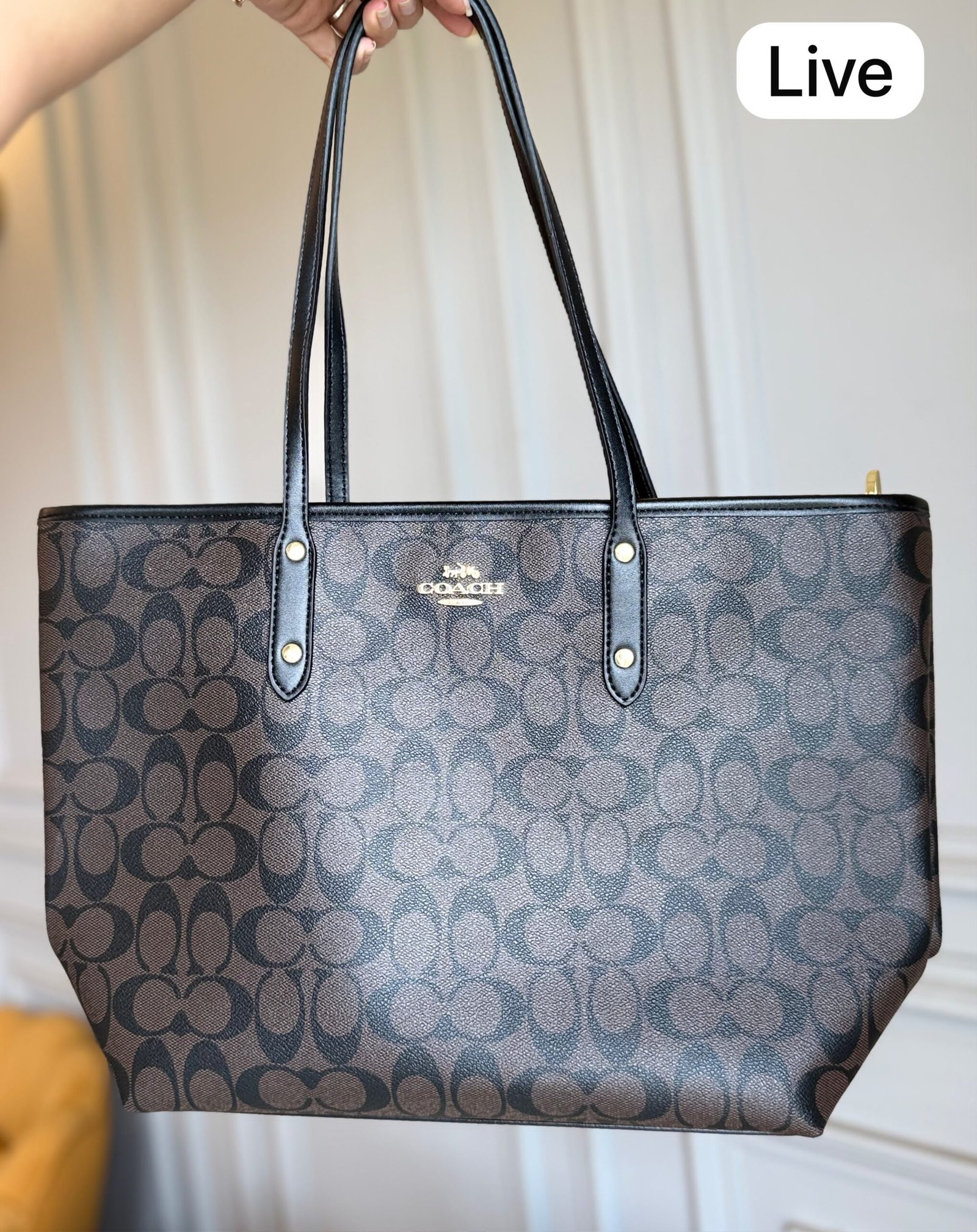 Luxury Women Town Tote Bag with Gift Box 