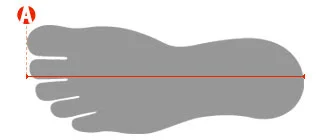How to measure foot length graphic