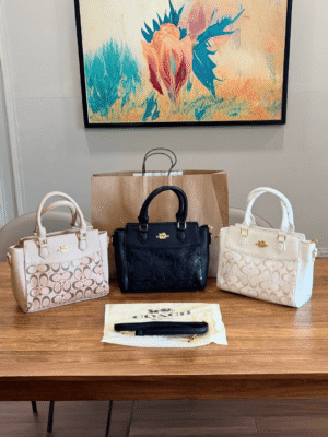 C Style Satchel Handbag for Women – 3 Colours | BSBmart