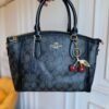 Handbag with Cherry Charm for Women – 4 Colours BSBmart