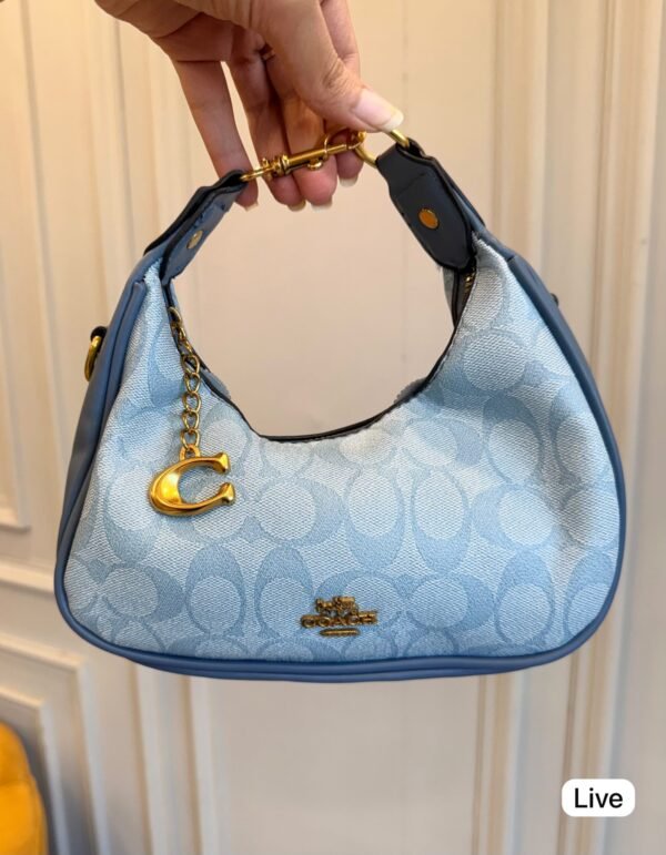 Small Crossbody Bag for Women in 5 Colours BSBmart