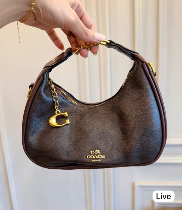Small Crossbody Bag for Women in 5 Colours BSBmart