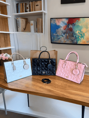 Tote Bag for Women – 3 Stylish Colours BSBmart