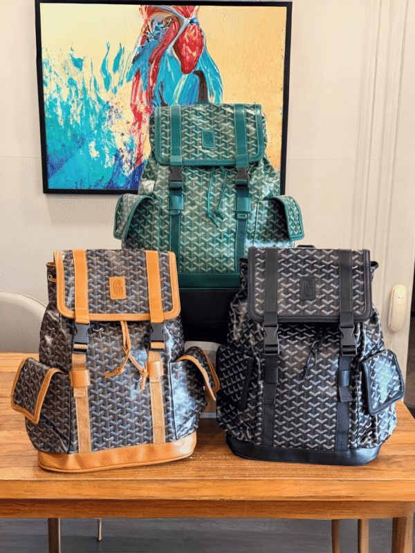 Cisalpin Style Men's Backpack – 3 Colours | BSBmart